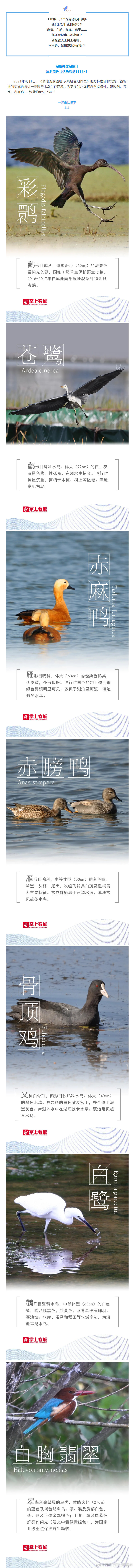 “昆明市西山区发布”微博