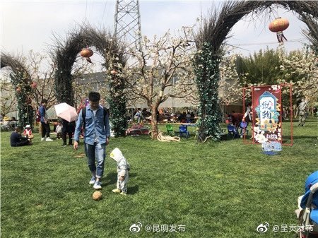 “呈贡发布”微博