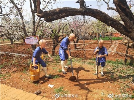 “呈贡发布”微博