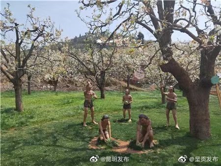 “呈贡发布”微博