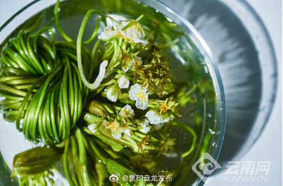 “昆明盘龙发布”微博