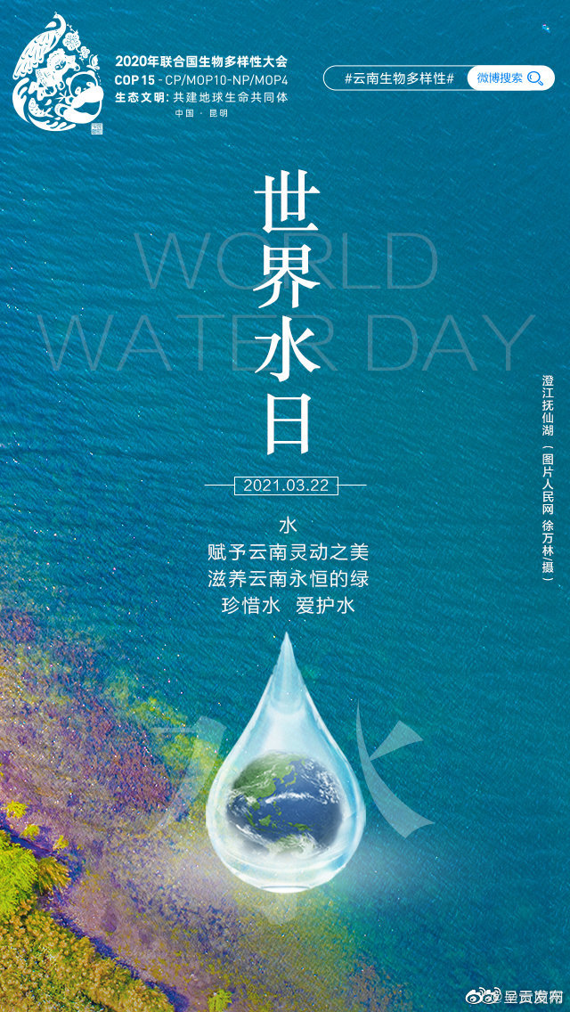 珍惜水，爱护水