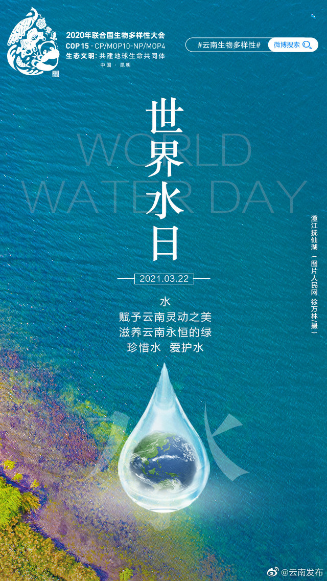 珍惜水，爱护水