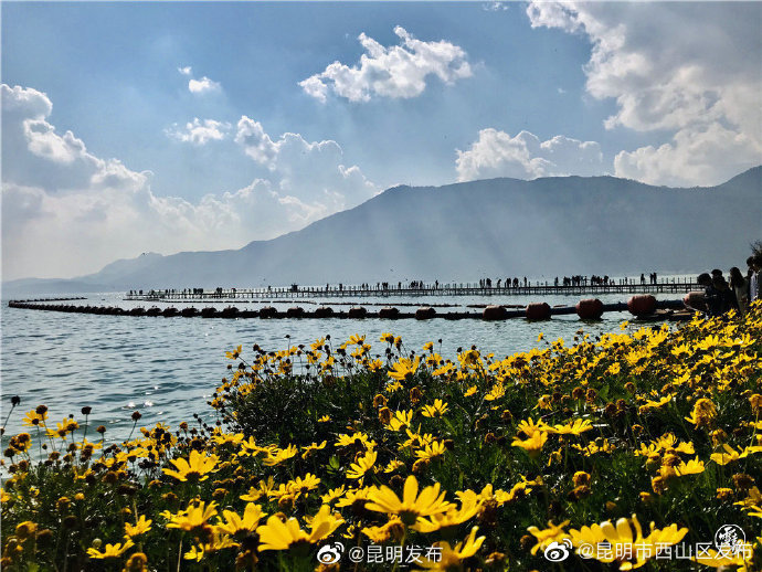 “昆明市西山区发布”微博