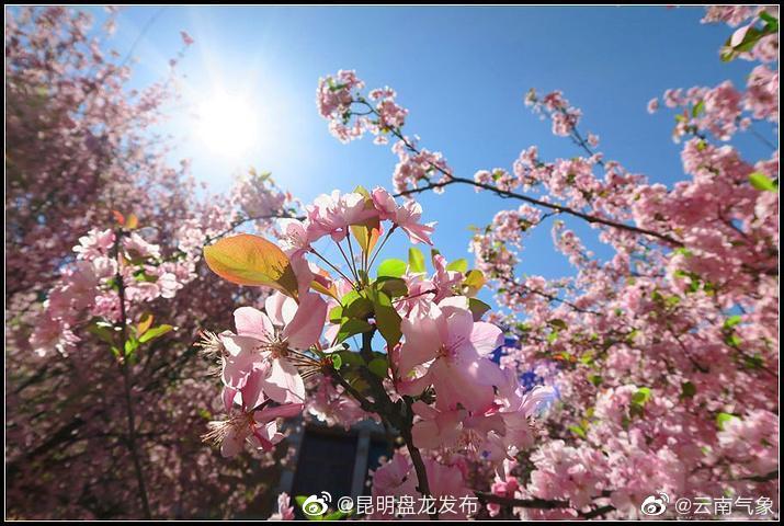 云南省未来24小时天气预报