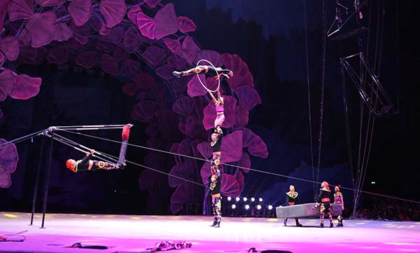 玉溪市人民政府