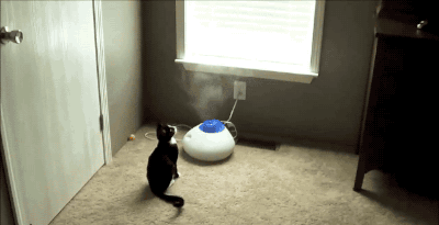 “昆明市西山区发布”微博