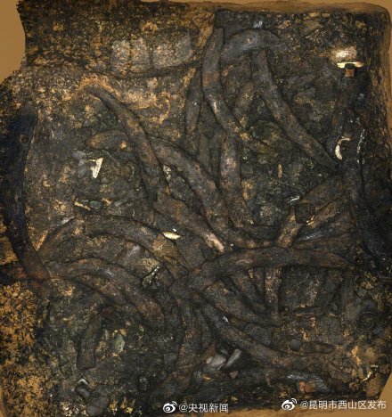 最新消息！三星堆4号坑碳14年代区间属商代晚期