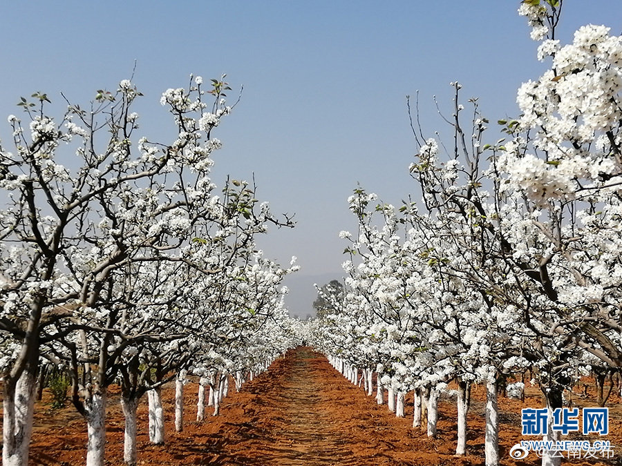 “云南发布”微博