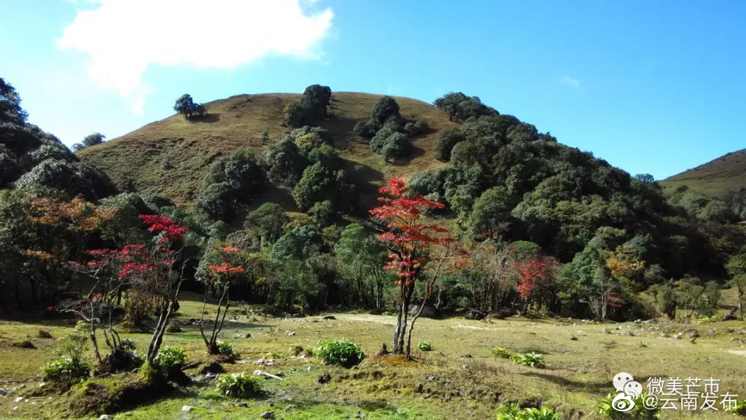 “云南发布”微博