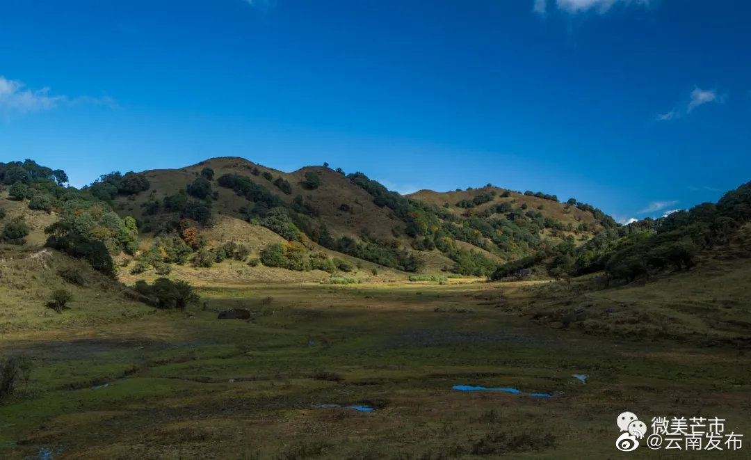 “云南发布”微博