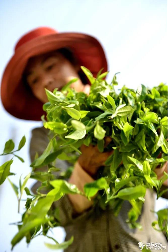 “云南发布”微博