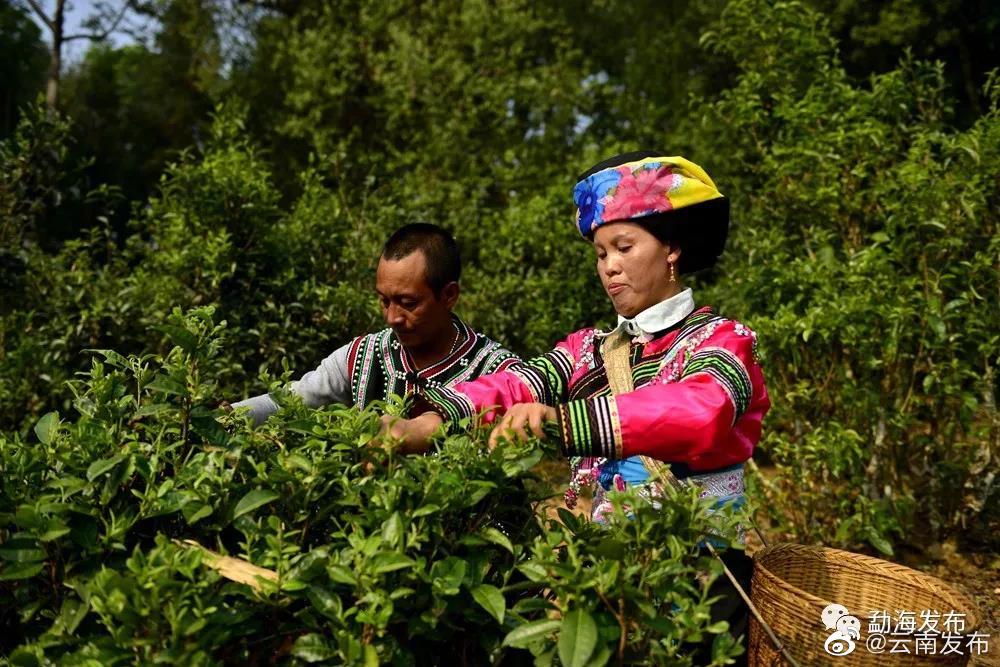 “云南发布”微博