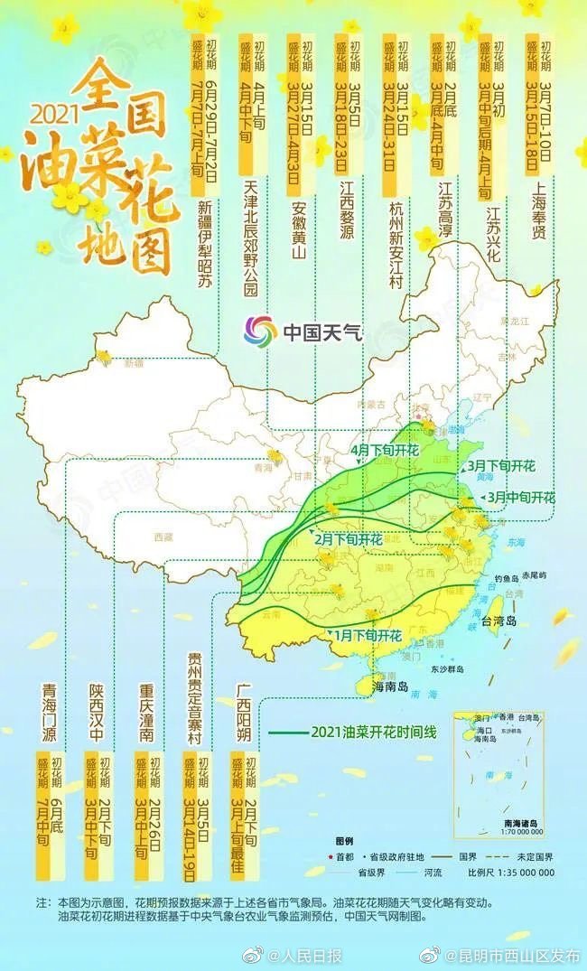 去踏春吧！多地油菜花进入最佳观赏期