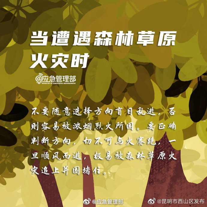 “昆明市西山区发布”微博