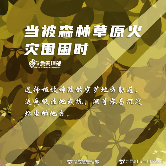 “昆明市西山区发布”微博