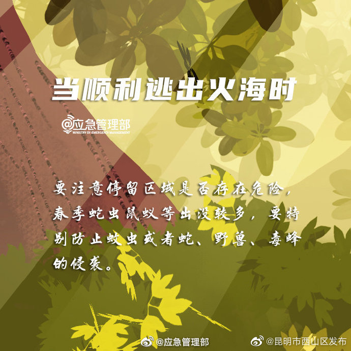 “昆明市西山区发布”微博