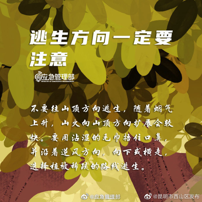 “昆明市西山区发布”微博