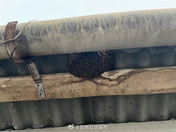 “昆明五华发布”微博