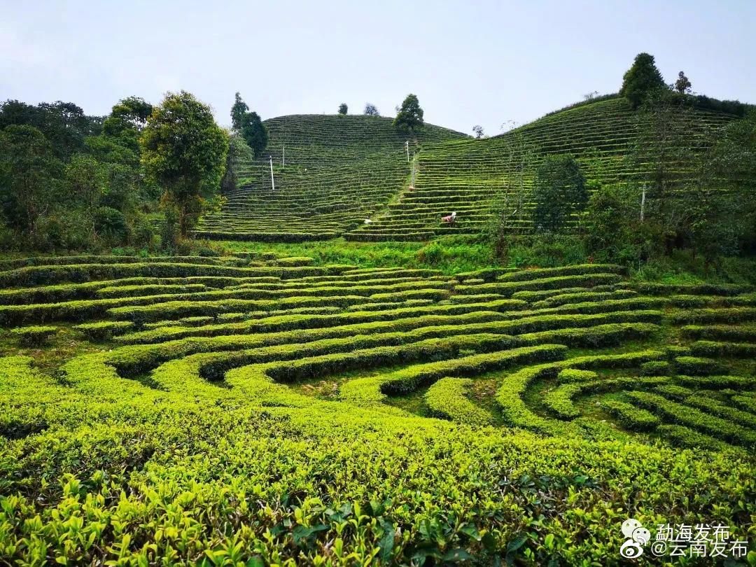 “云南发布”微博