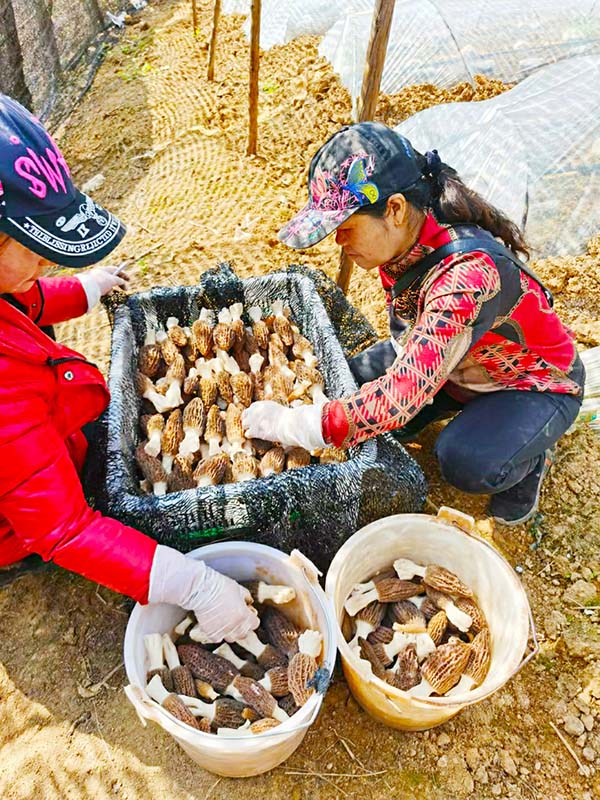 玉溪市人民政府