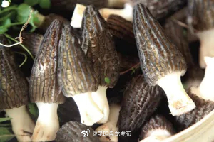 果东村蕴藏的乡村振兴“密码”