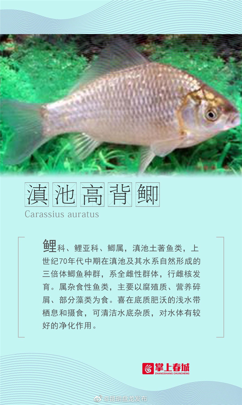 “昆明盘龙发布”微博