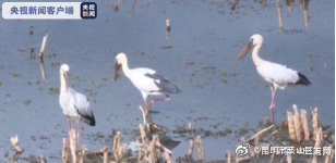 “昆明市西山区发布”微博