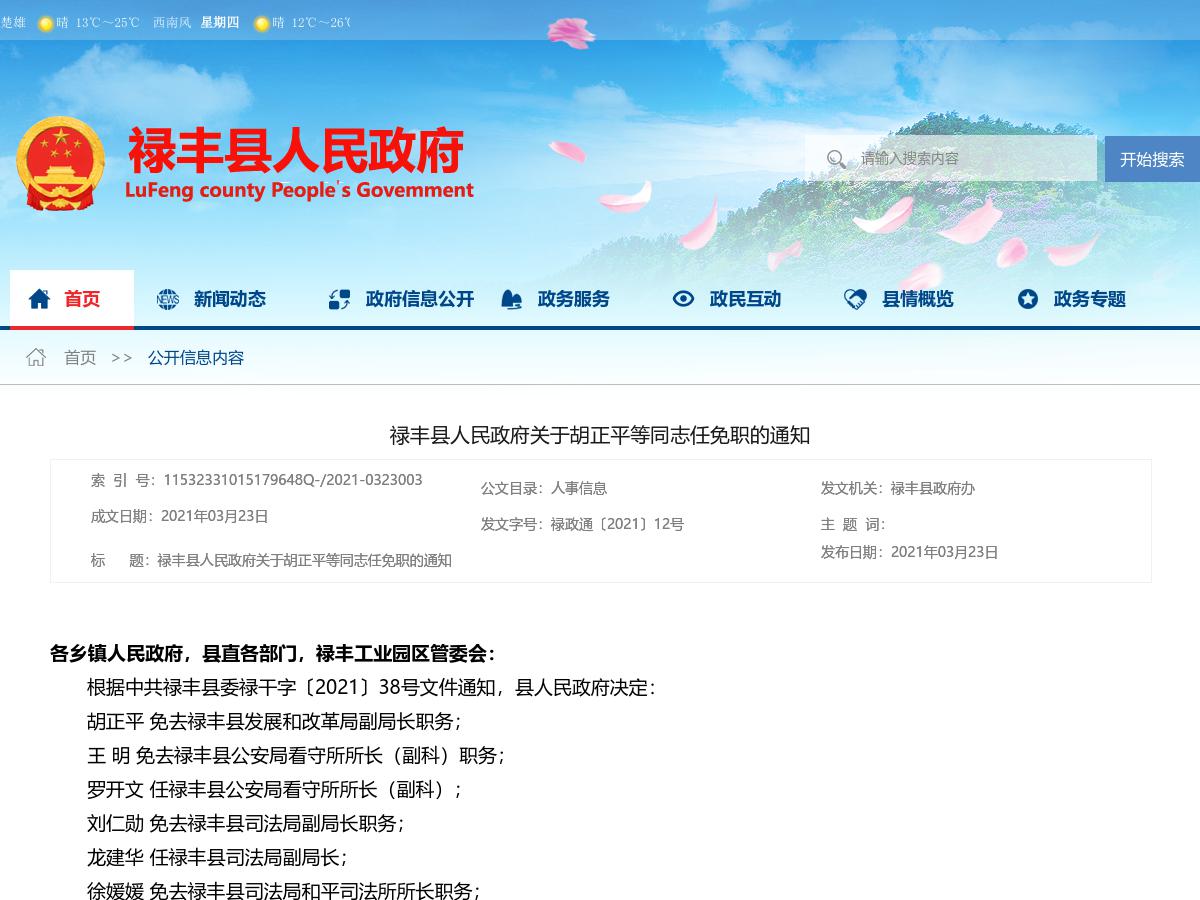 禄丰县人民政府关于胡正平等同志任免职的通知