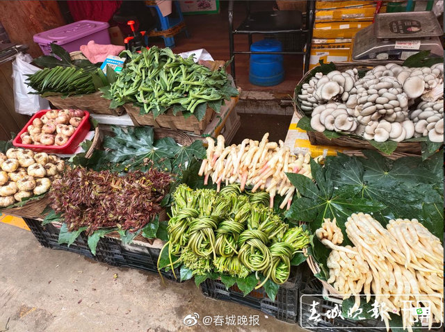 小心中毒！昆明发布重要预警！