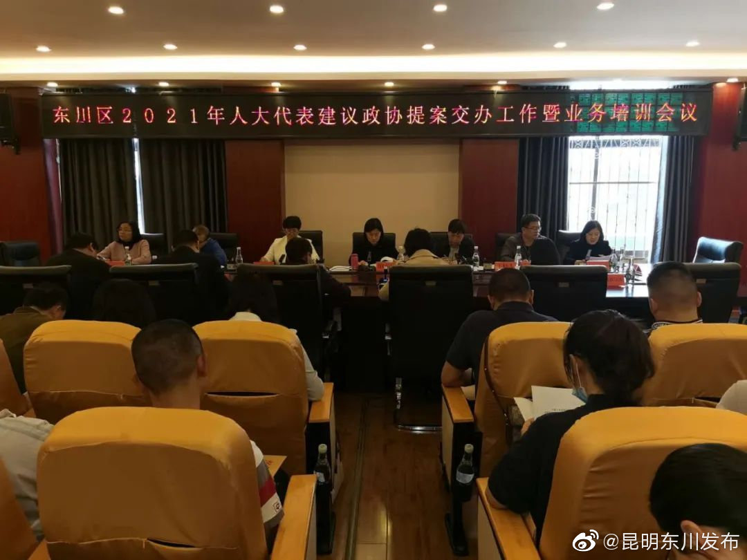 东川区打通代表委员建议意见办理“快速路”跑出“加速度”