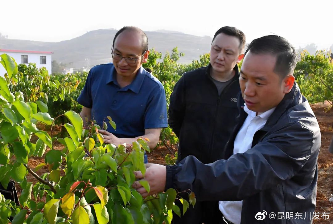 “昆明东川发布”微博