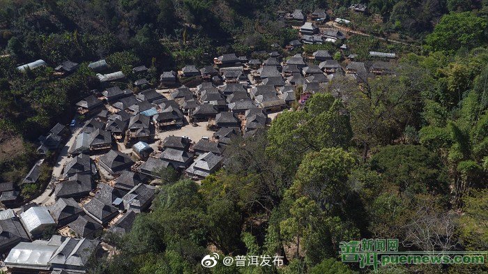 人与茶，“相遇”在景迈山