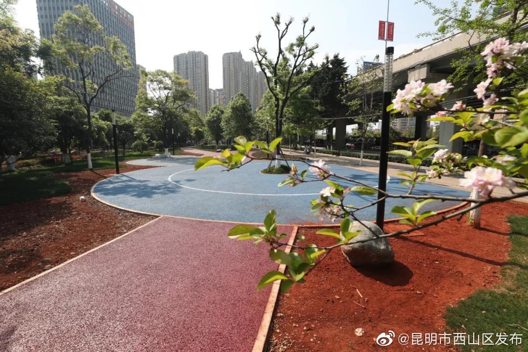 “昆明市西山区发布”微博