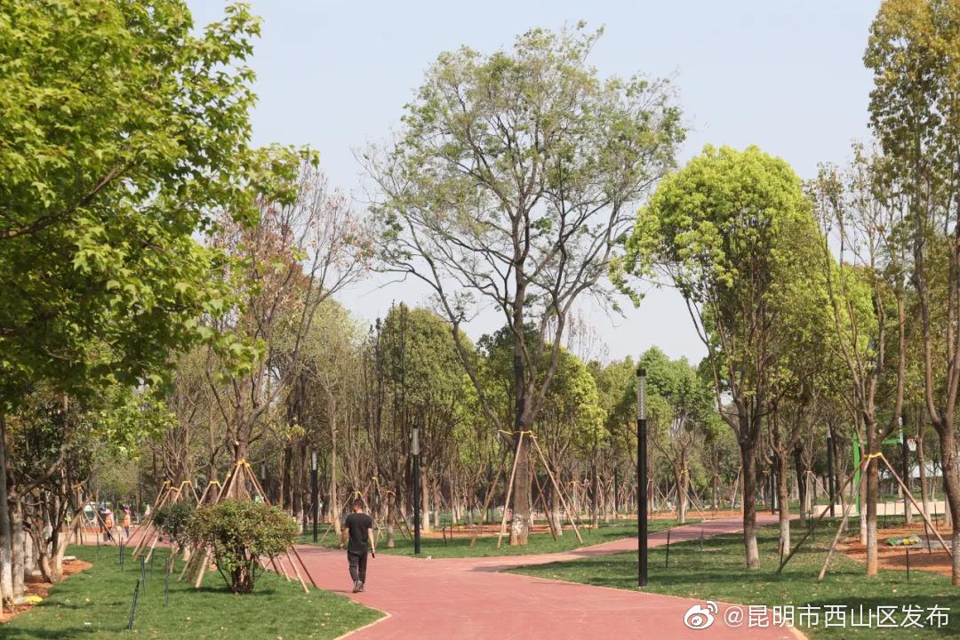 “昆明市西山区发布”微博
