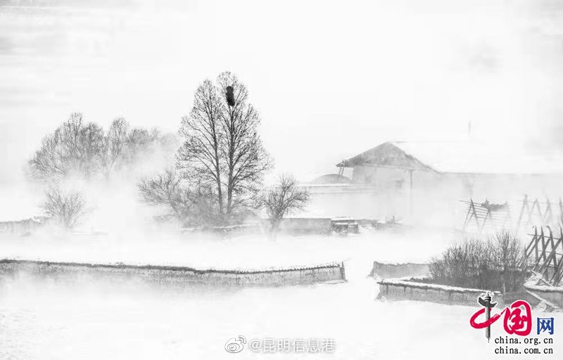 新浪微博