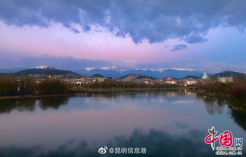 新浪微博