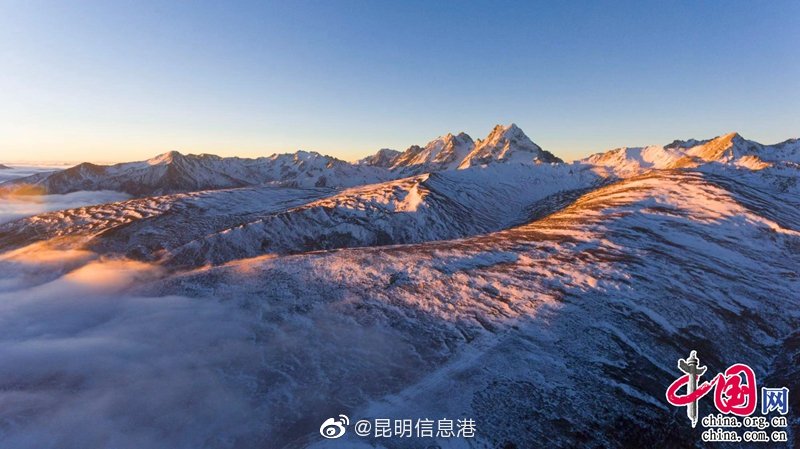 新浪微博