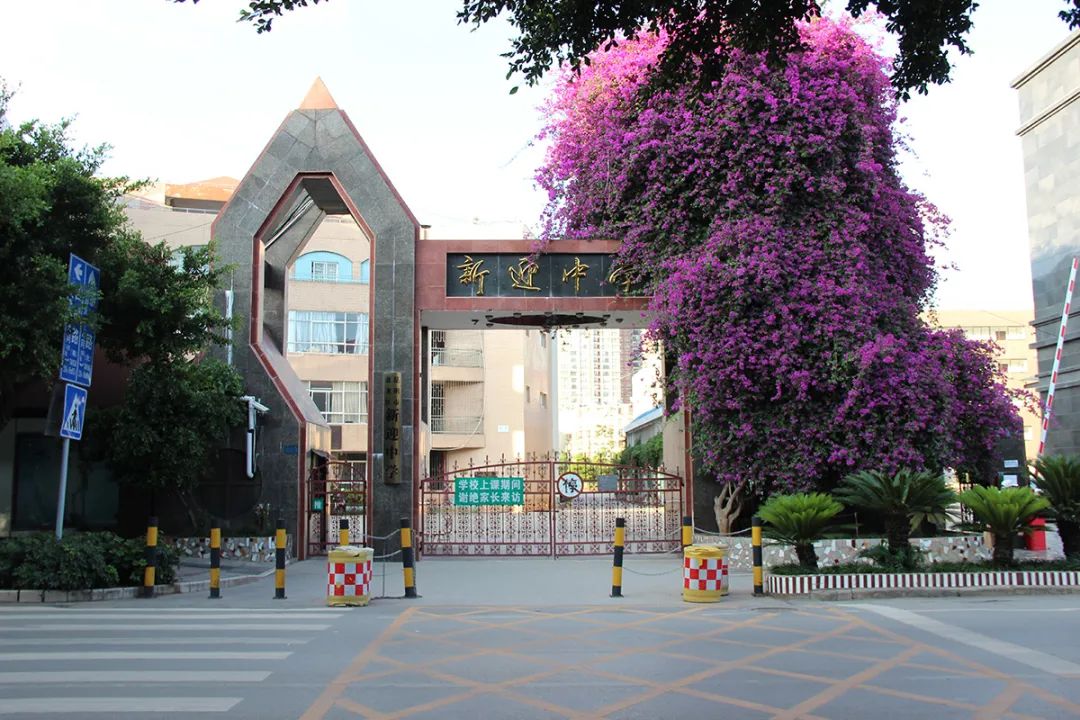 盘龙教育(微信)