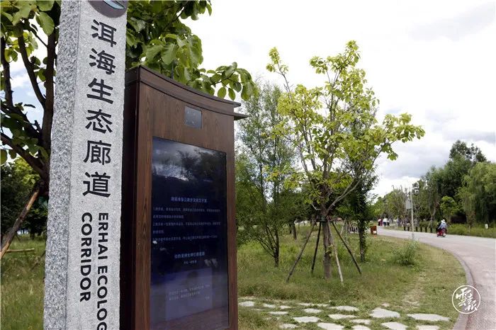 大理日报(微信)