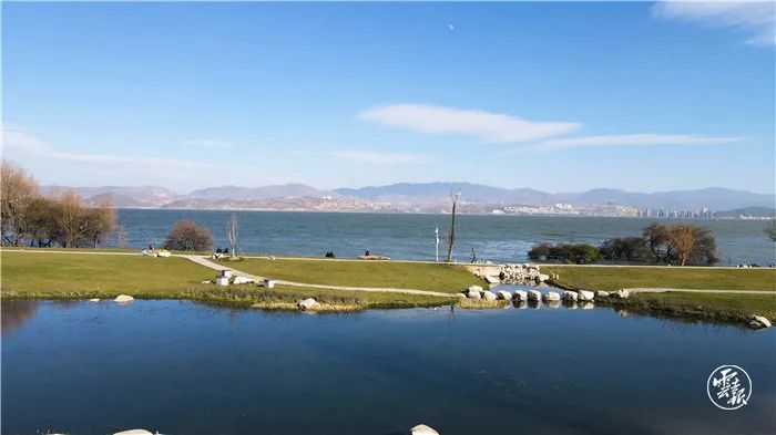 大理日报(微信)