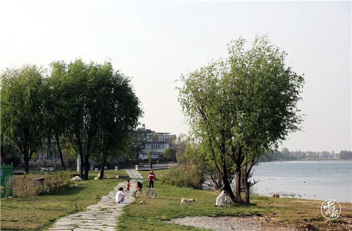 大理日报(微信)