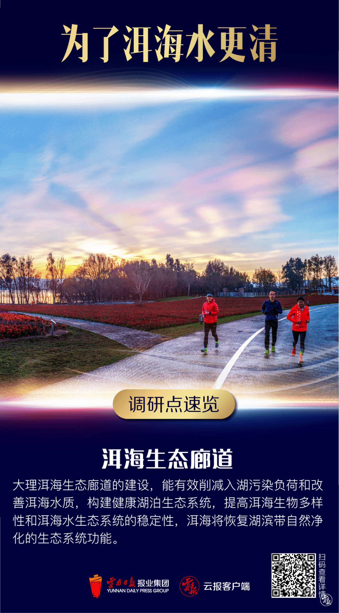 大理日报(微信)