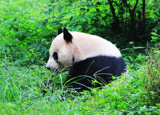 保山新闻网(微信)