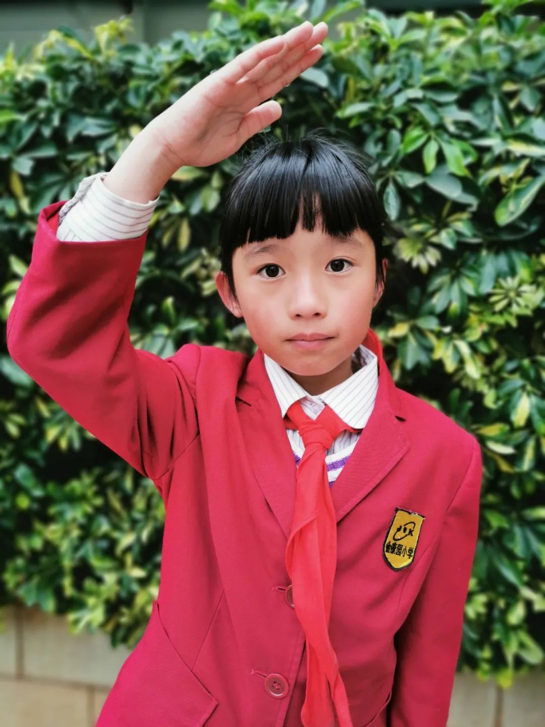 昆明市盘龙区金康园小学(微信)