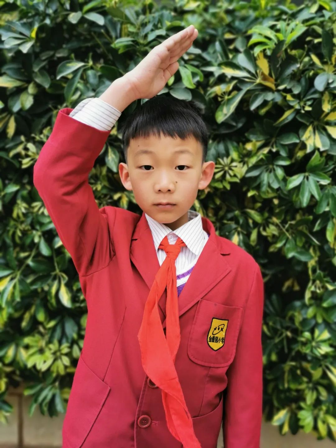 昆明市盘龙区金康园小学(微信)