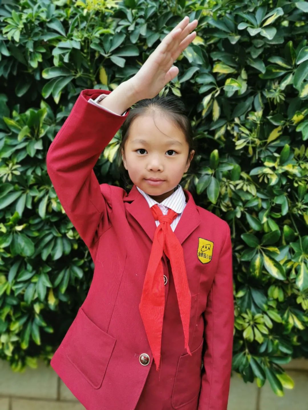 昆明市盘龙区金康园小学(微信)