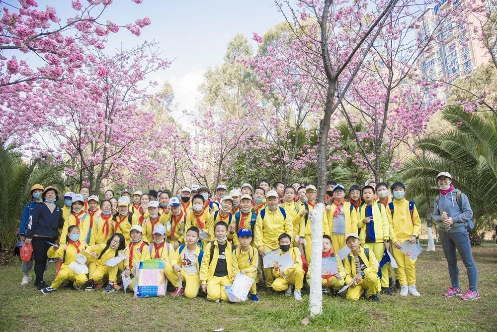 昆明市盘龙区金康园小学(微信)