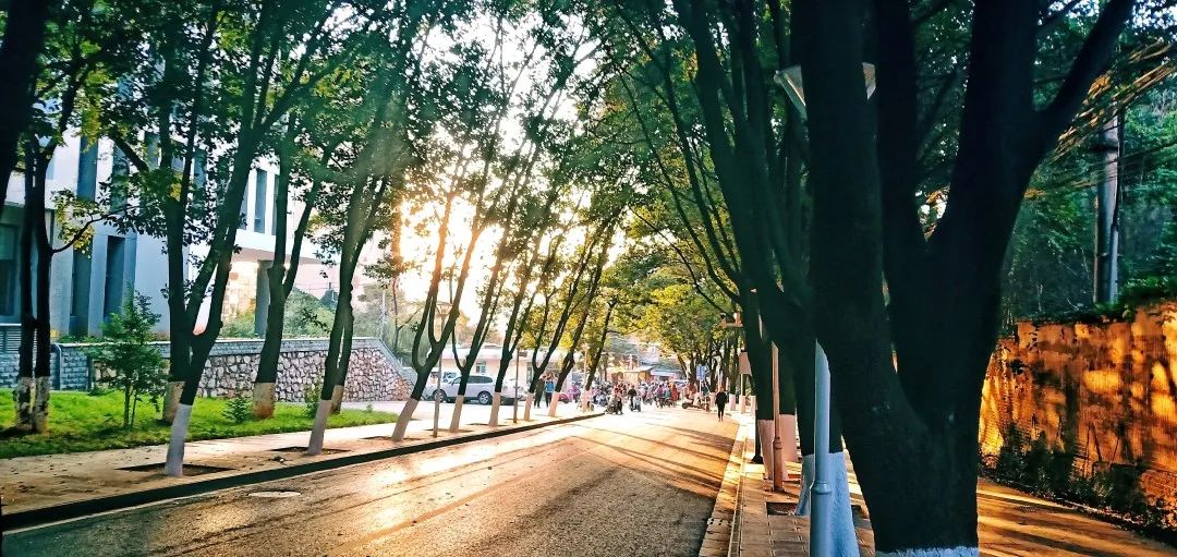 西南林业大学(微信)