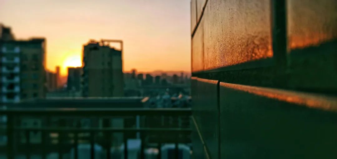 西南林业大学(微信)